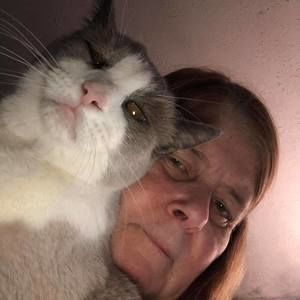 Meet your Posher, Jane